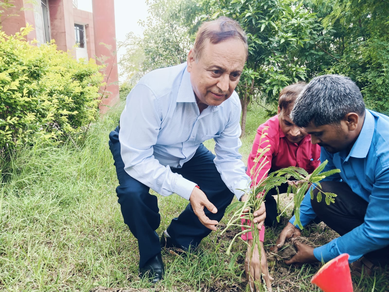 Ek Ped Maa Ke Naam - National Environmental Plantation Drive, July 04, 2025